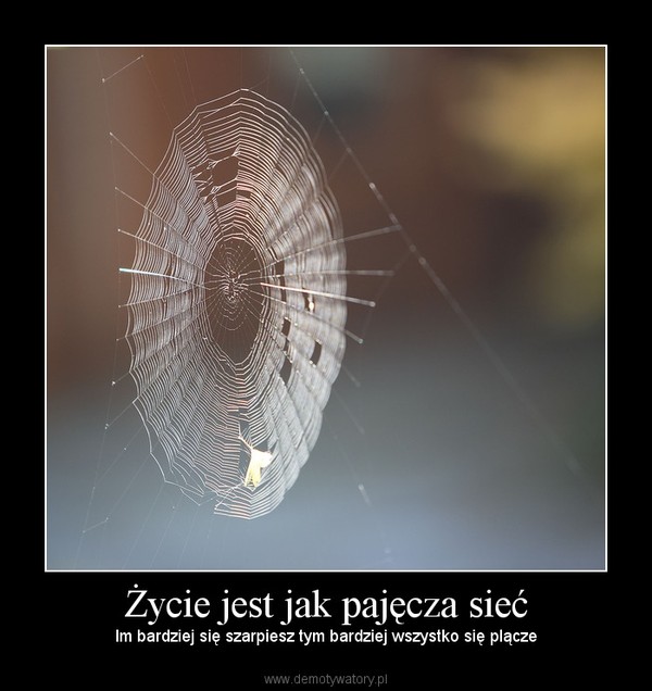 Życie jest jak pajęcza sieć – Im bardziej się szarpiesz tym bardziej wszystko się plącze 