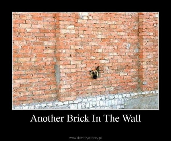 Another Brick In The Wall –  