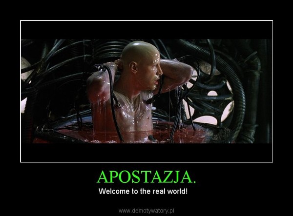 APOSTAZJA. – Welcome to the real world!    