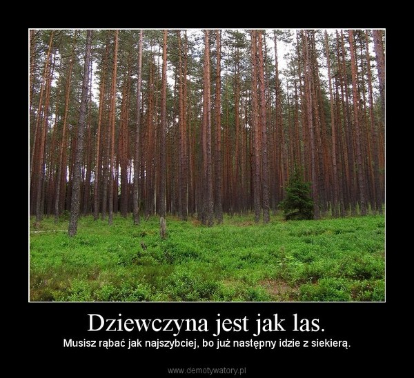 Dziewczyna jest jak las. – Demotywatory.pl