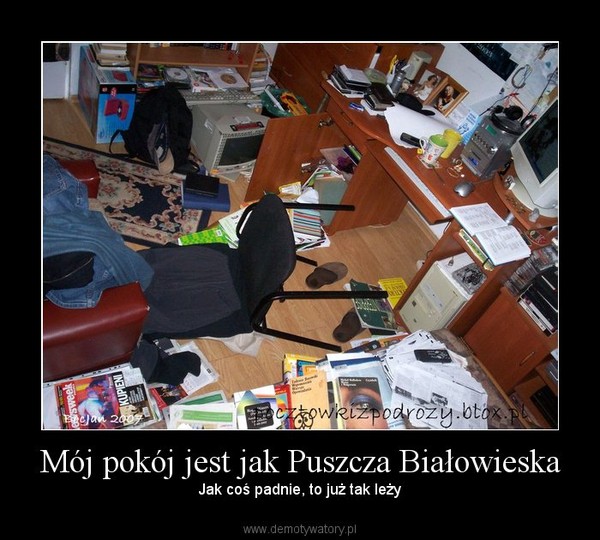 Mój pokój jest jak Puszcza Białowieska – Jak coś padnie, to już tak leży 