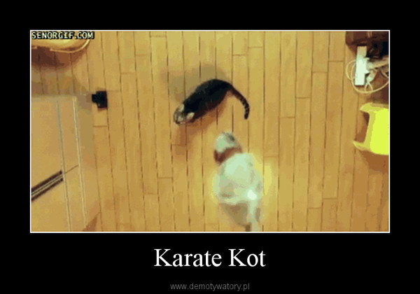 Karate Kot –  