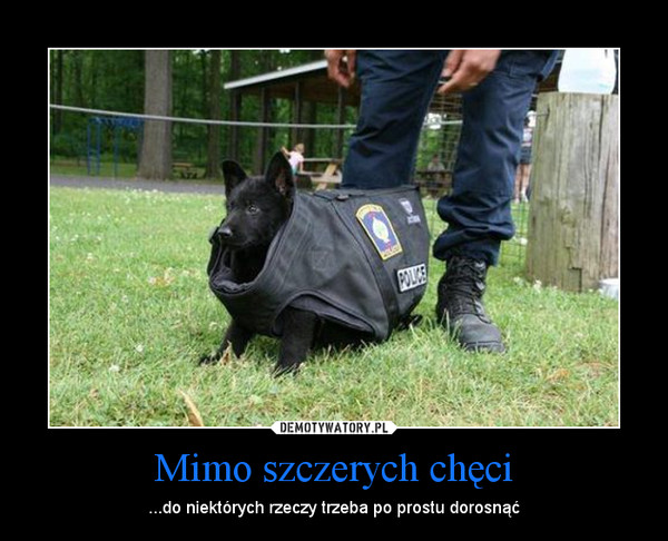 Mimo szczerych chęci