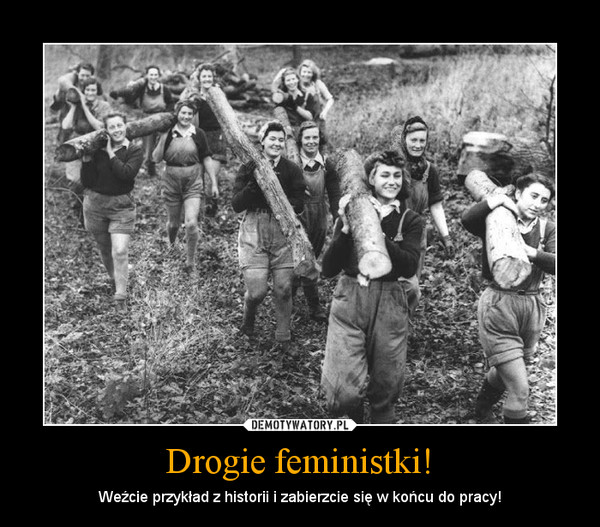 Drogie feministki! – Weźcie przykład z historii i zabierzcie się w końcu do pracy! 