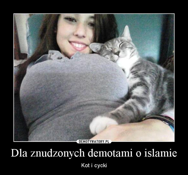 Dla znudzonych demotami o islamie – Kot i cycki 