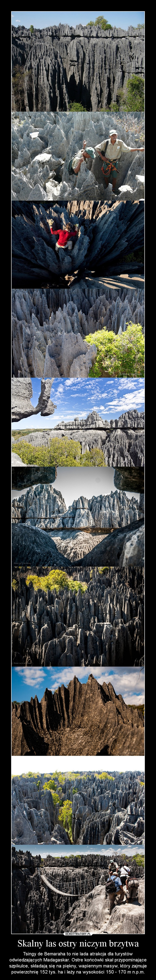 Skalny las ostry niczym brzytwa – Tsingy de Bemaraha to nie lada atrakcja dla turystów odwiedzających Madagaskar. Ostre końcówki skał przypominające szpikulce, składają się na piękny, wapiennym masyw, który zajmuje powierzchnię 152 tys. ha i leży na wysokości 150 - 170 m n.p.m. 
