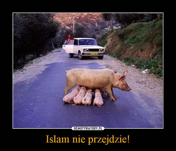 Islam nie przejdzie! –  