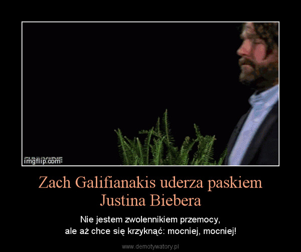 Zach Galifianakis uderza paskiemJustina Biebera – Nie jestem zwolennikiem przemocy,ale aż chce się krzyknąć: mocniej, mocniej! 