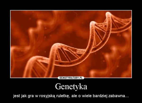 Genetyka – jest jak gra w rosyjską ruletkę, ale o wiele bardziej zabawna... 