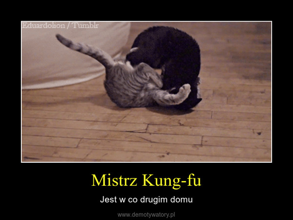 Mistrz Kung-fu – Jest w co drugim domu 
