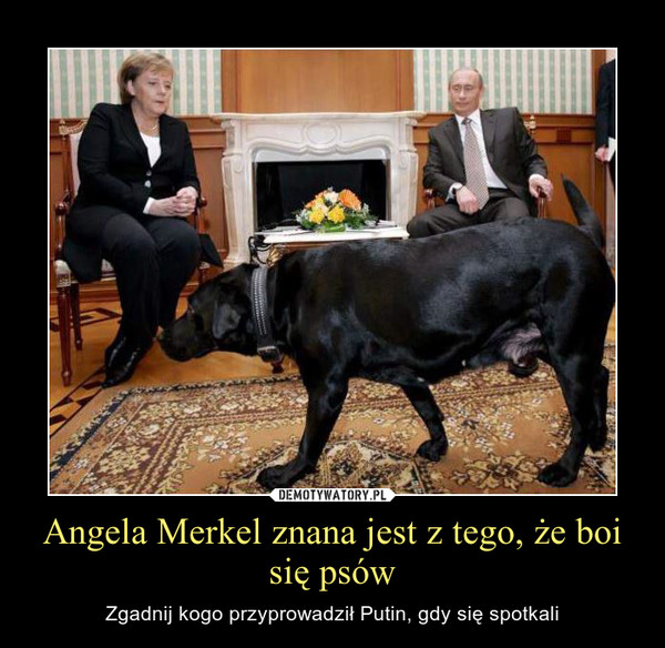 Angela Merkel znana jest z tego, że boi się psów – Zgadnij kogo przyprowadził Putin, gdy się spotkali 
