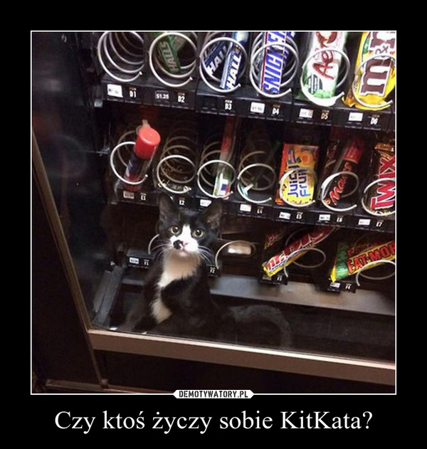 Czy ktoś życzy sobie KitKata? –  