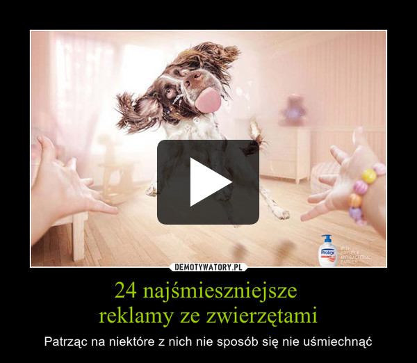 24 najśmieszniejsze reklamy ze zwierzętami – Patrząc na niektóre z nich nie sposób się nie uśmiechnąć 