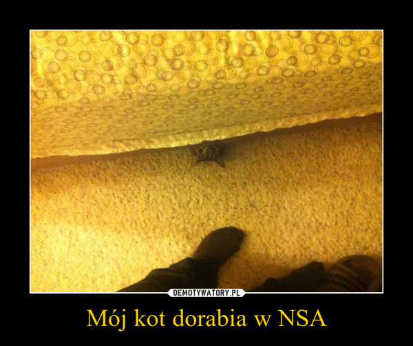 Mój kot dorabia w NSA