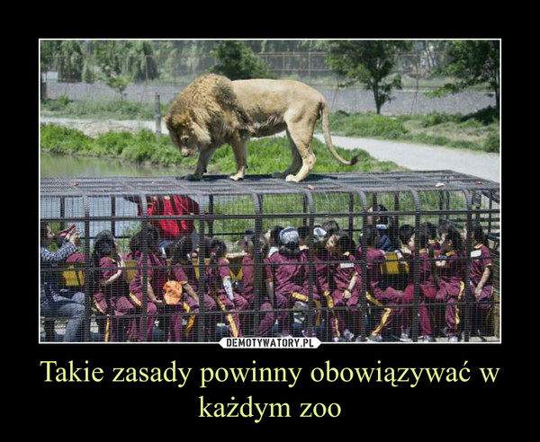 Takie zasady powinny obowiązywać w każdym zoo –  