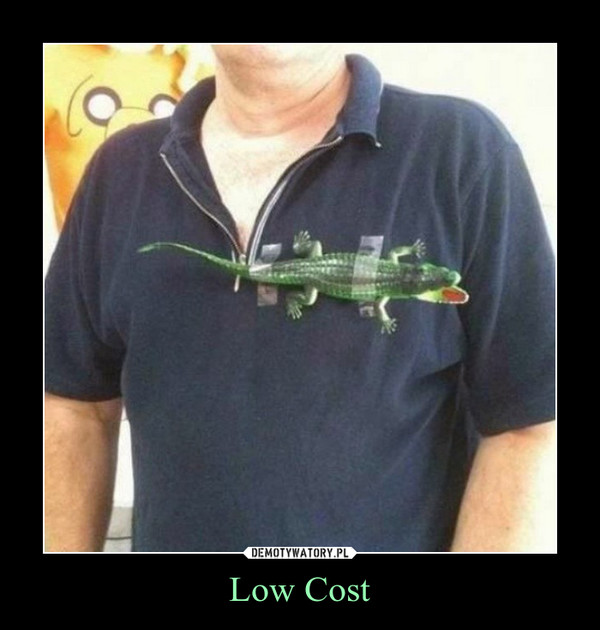 Low Cost –  
