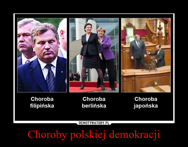 Choroby polskiej demokracji