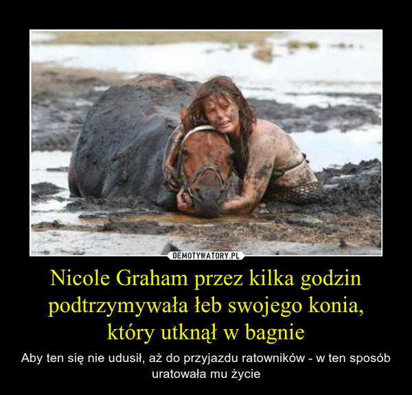 Nicole Graham przez kilka godzin podtrzymywała łeb swojego konia,który utknął w bagnie – Aby ten się nie udusił, aż do przyjazdu ratowników - w ten sposób uratowała mu życie 