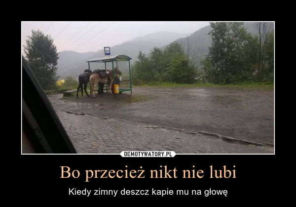 Bo przecież nikt nie lubi – Kiedy zimny deszcz kapie mu na głowę 