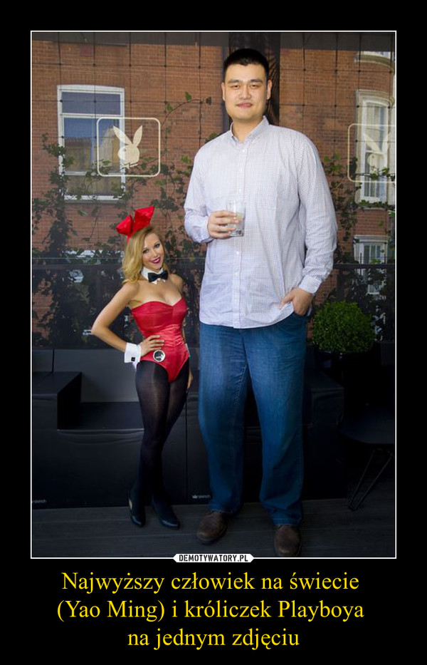 Najwyższy człowiek na świecie 
(Yao Ming) i króliczek Playboya 
na jednym zdjęciu
