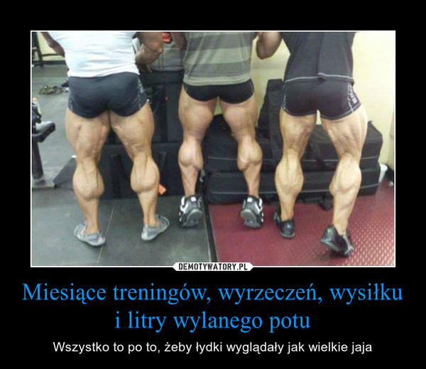 Miesiące treningów, wyrzeczeń, wysiłku i litry wylanego potu – Wszystko to po to, żeby łydki wyglądały jak wielkie jaja 