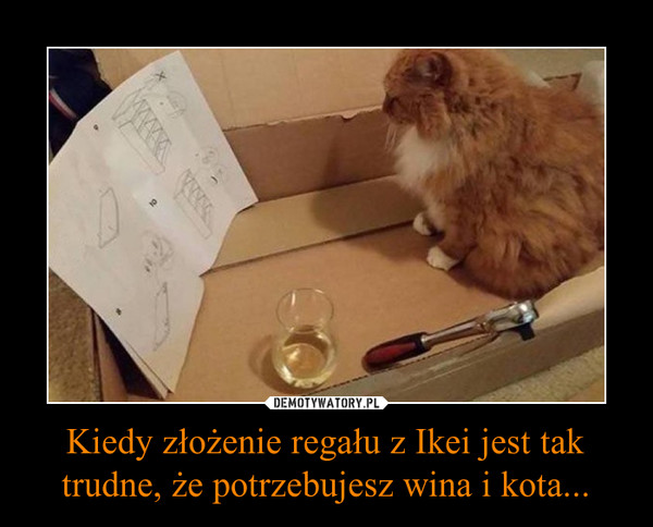 Kiedy złożenie regału z Ikei jest tak trudne, że potrzebujesz wina i kota... –  
