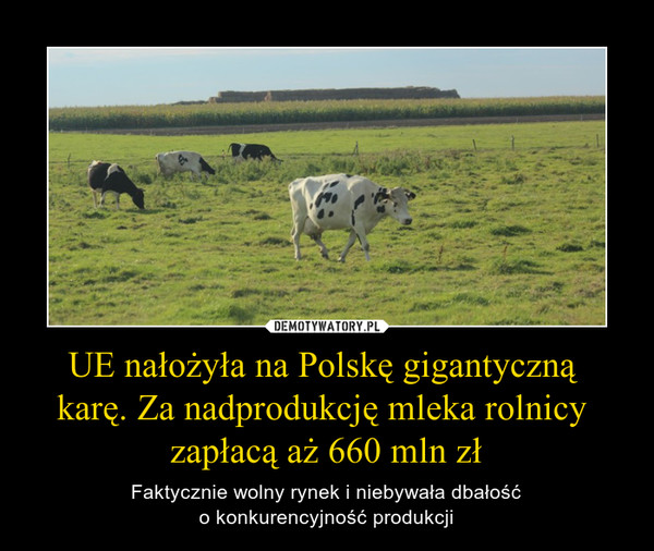 UE nałożyła na Polskę gigantyczną 
karę. Za nadprodukcję mleka rolnicy 
zapłacą aż 660 mln zł