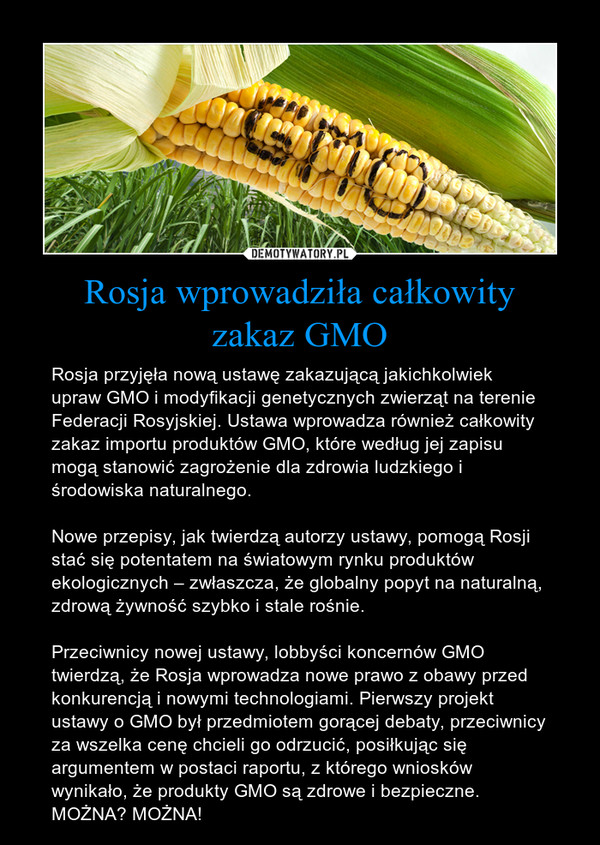 Rosja wprowadziła całkowityzakaz GMO – Rosja przyjęła nową ustawę zakazującą jakichkolwiek upraw GMO i modyfikacji genetycznych zwierząt na terenie Federacji Rosyjskiej. Ustawa wprowadza również całkowity zakaz importu produktów GMO, które według jej zapisu mogą stanowić zagrożenie dla zdrowia ludzkiego i środowiska naturalnego.Nowe przepisy, jak twierdzą autorzy ustawy, pomogą Rosji stać się potentatem na światowym rynku produktów ekologicznych – zwłaszcza, że globalny popyt na naturalną, zdrową żywność szybko i stale rośnie.Przeciwnicy nowej ustawy, lobbyści koncernów GMO twierdzą, że Rosja wprowadza nowe prawo z obawy przed konkurencją i nowymi technologiami. Pierwszy projekt ustawy o GMO był przedmiotem gorącej debaty, przeciwnicy za wszelka cenę chcieli go odrzucić, posiłkując się argumentem w postaci raportu, z którego wniosków wynikało, że produkty GMO są zdrowe i bezpieczne.MOŻNA? MOŻNA! 
