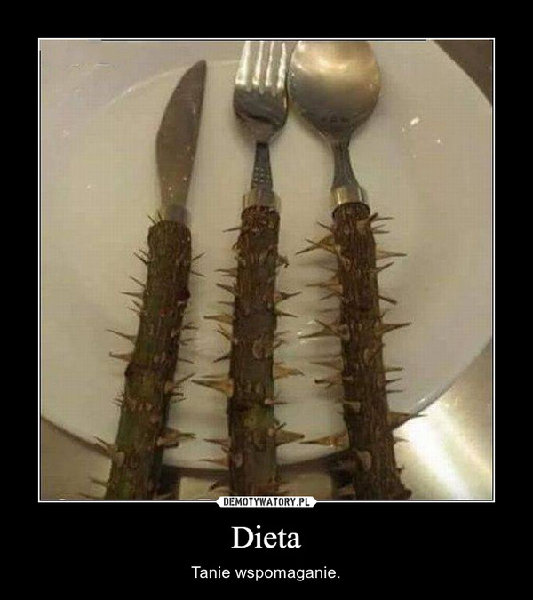 Dieta – Tanie wspomaganie. 