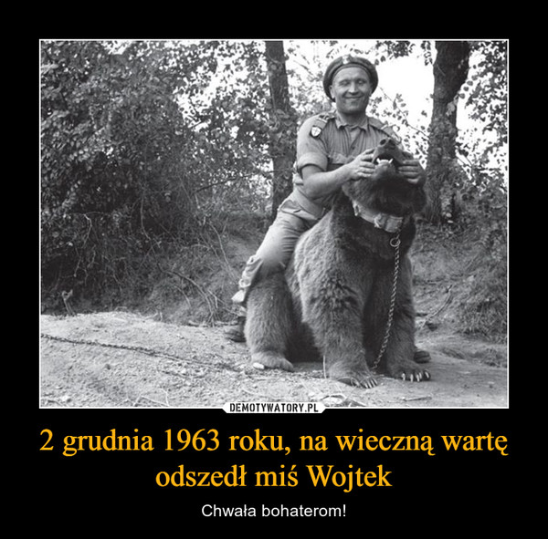 2 grudnia 1963 roku, na wieczną wartę odszedł miś Wojtek – Chwała bohaterom! 