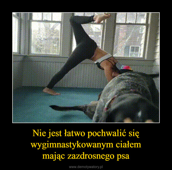 Nie jest łatwo pochwalić się wygimnastykowanym ciałemmając zazdrosnego psa –  