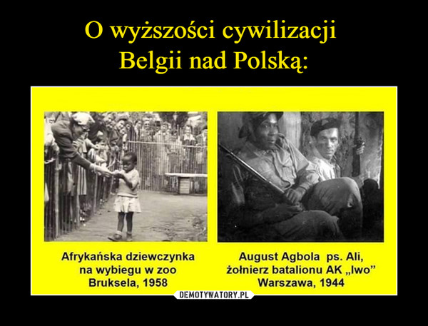 O wyższości cywilizacji 
Belgii nad Polską: