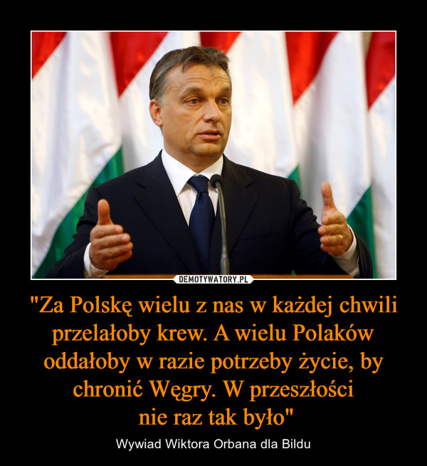 "Za Polskę wielu z nas w każdej chwili przelałoby krew. A wielu Polaków oddałoby w razie potrzeby życie, by chronić Węgry. W przeszłości nie raz tak było" – Wywiad Wiktora Orbana dla Bildu 