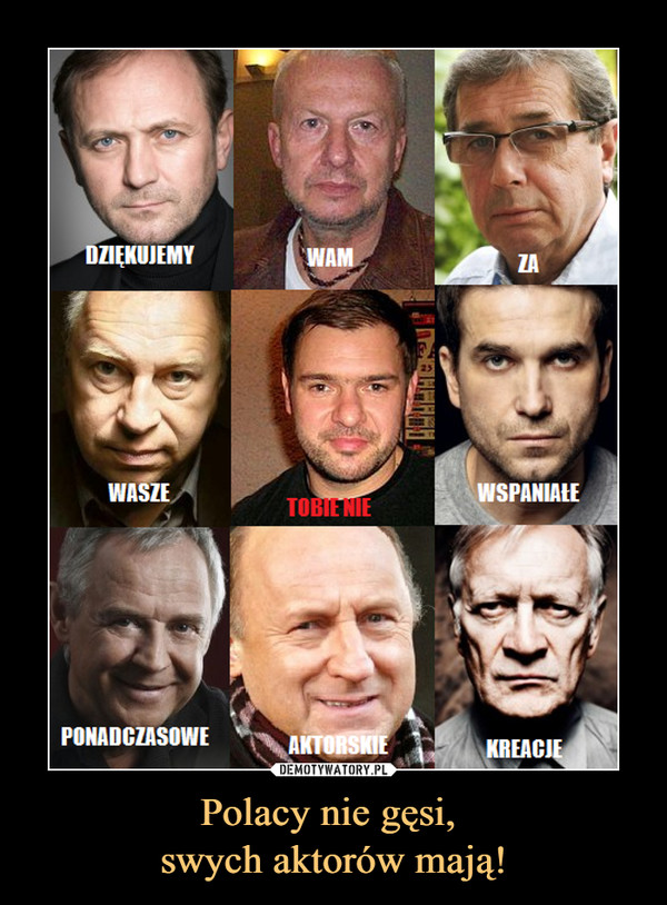 Polacy nie gęsi, 
swych aktorów mają!