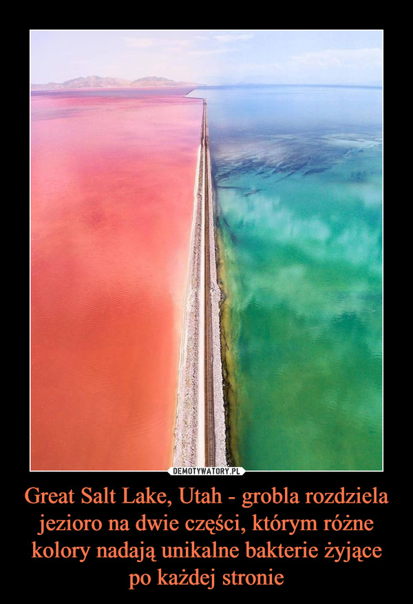 Great Salt Lake, Utah - grobla rozdziela jezioro na dwie części, którym różne kolory nadają unikalne bakterie żyjące po każdej stronie –  
