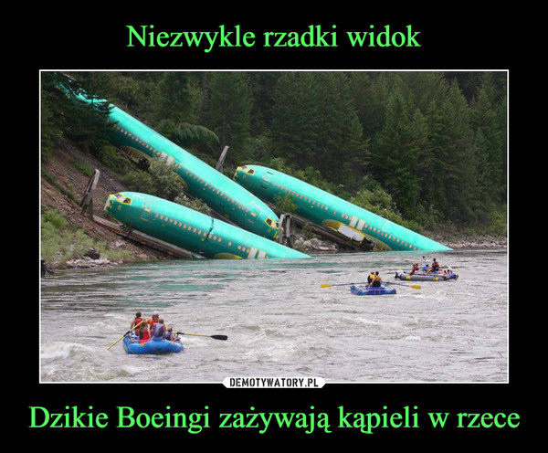 Dzikie Boeingi zażywają kąpieli w rzece –  
