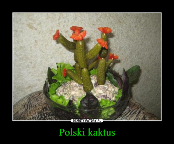 Polski kaktus –  
