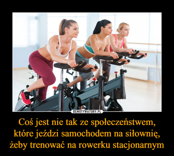 Coś jest nie tak ze społeczeństwem, które jeździ samochodem na siłownię, żeby trenować na rowerku stacjonarnym –  