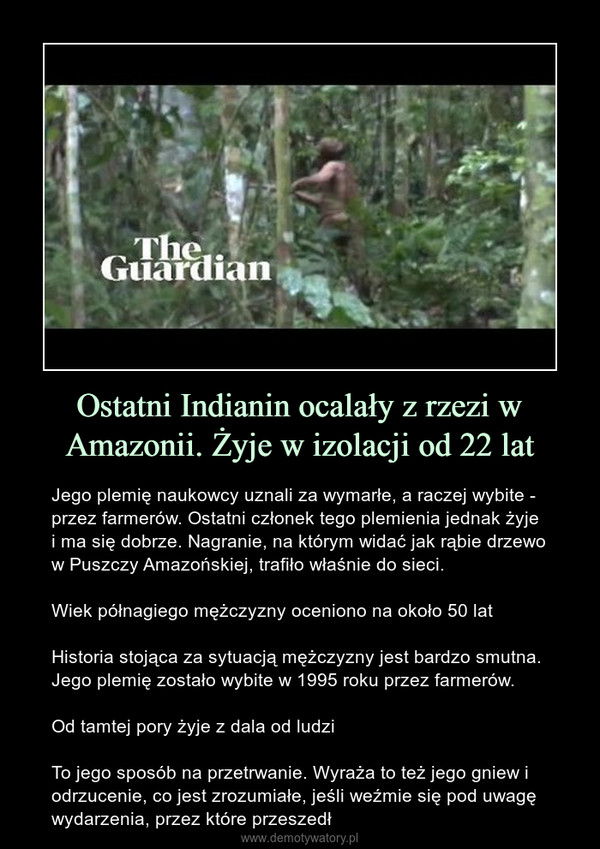 Ostatni Indianin ocalały z rzezi w Amazonii. Żyje w izolacji od 22 lat – Jego plemię naukowcy uznali za wymarłe, a raczej wybite - przez farmerów. Ostatni członek tego plemienia jednak żyje i ma się dobrze. Nagranie, na którym widać jak rąbie drzewo w Puszczy Amazońskiej, trafiło właśnie do sieci.Wiek półnagiego mężczyzny oceniono na około 50 latHistoria stojąca za sytuacją mężczyzny jest bardzo smutna. Jego plemię zostało wybite w 1995 roku przez farmerów.Od tamtej pory żyje z dala od ludziTo jego sposób na przetrwanie. Wyraża to też jego gniew i odrzucenie, co jest zrozumiałe, jeśli weźmie się pod uwagę wydarzenia, przez które przeszedł 