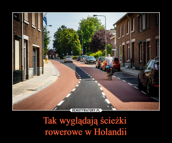 Tak wyglądają ścieżki 
rowerowe w Holandii