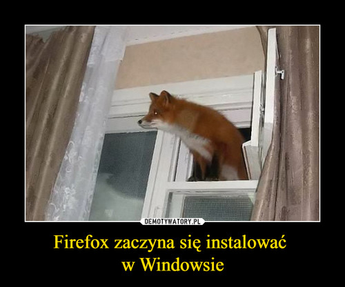 Firefox zaczyna się instalować 
w Windowsie