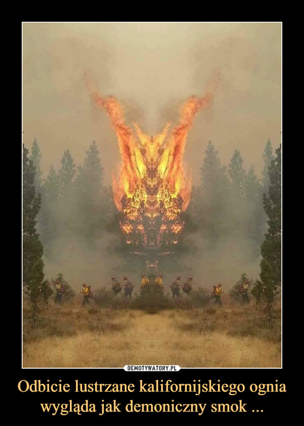 Odbicie lustrzane kalifornijskiego ognia wygląda jak demoniczny smok ...