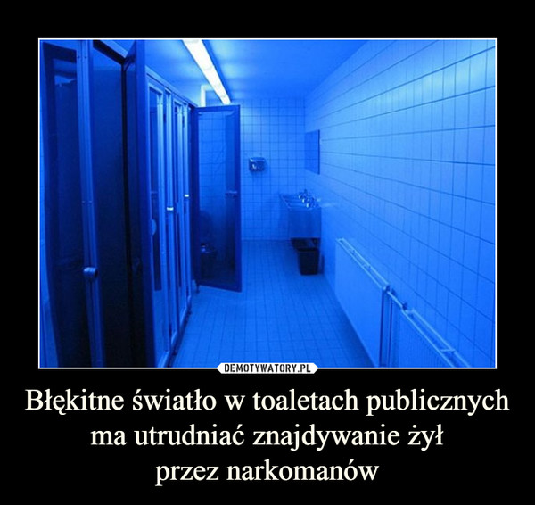 Błękitne światło w toaletach publicznych ma utrudniać znajdywanie żył
przez narkomanów
