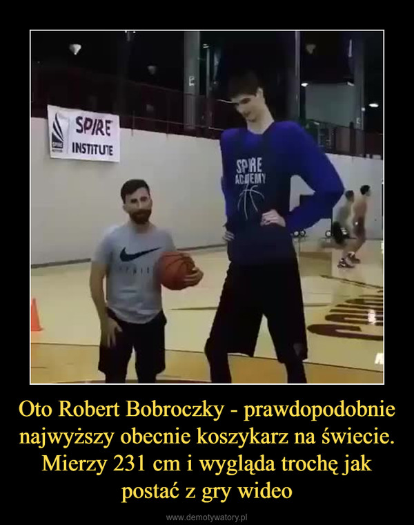 Oto Robert Bobroczky - prawdopodobnie najwyższy obecnie koszykarz na świecie. Mierzy 231 cm i wygląda trochę jak postać z gry wideo –  