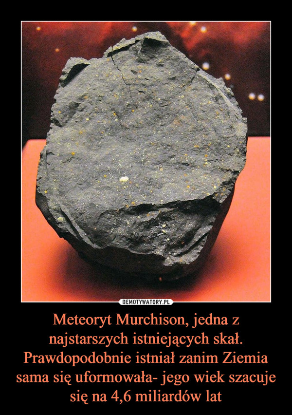 Meteoryt Murchison, jedna z najstarszych istniejących skał. Prawdopodobnie istniał zanim Ziemia sama się uformowała- jego wiek szacuje się na 4,6 miliardów lat –  