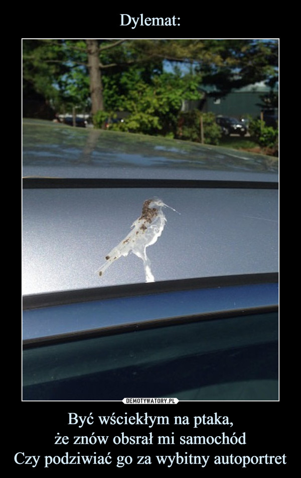 Dylemat: Być wściekłym na ptaka,
że znów obsrał mi samochód
Czy podziwiać go za wybitny autoportret