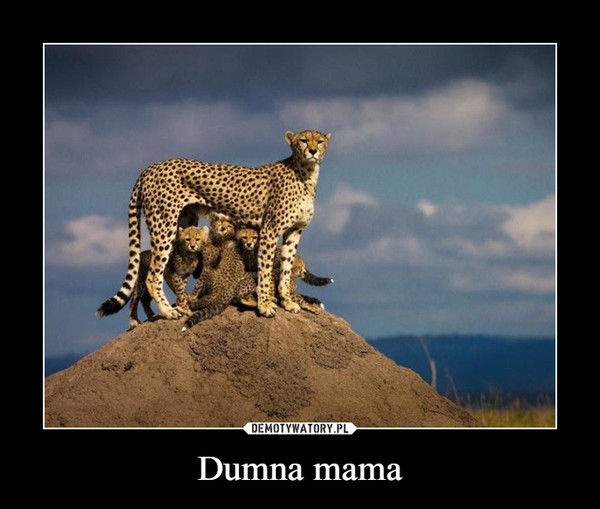 Dumna mama –  
