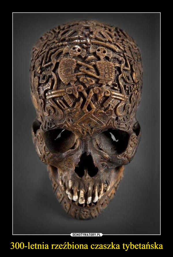300-letnia rzeźbiona czaszka tybetańska