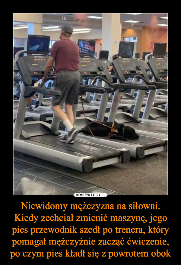 Niewidomy mężczyzna na siłowni. Kiedy zechciał zmienić maszynę, jego pies przewodnik szedł po trenera, który pomagał mężczyźnie zacząć ćwiczenie, po czym pies kładł się z powrotem obok –  