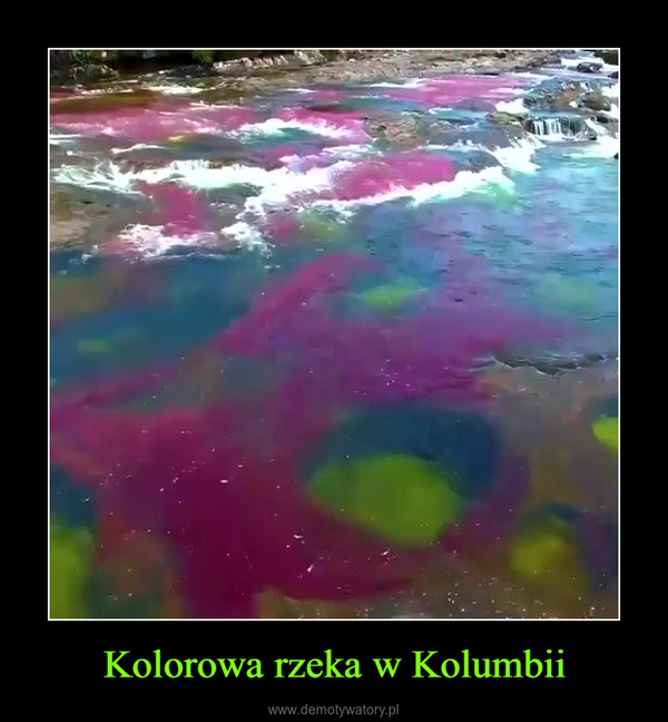 Kolorowa rzeka w Kolumbii –  